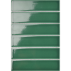 Y45P338 Strip Mosaic (Glossy)