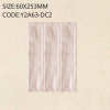 Y2A63-DC2 Pearly Series