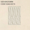 Y2A63-DC10 Pearly Series