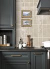 1204 Rainbow Series™ (Glossy)