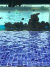Y48603 Reef Series™ Pool Mosaic Tiles