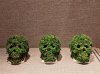 Moss Skeleton Skull