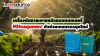 เครื่องพ่นยาสะพายหลังแบบแบตเตอรี่ Mitsupower ตัวช่วยเกษตรกรยุคใหม่