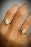 Ring-Elegance I