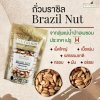 NUTRIRIS Ready to Eat Brazil Nut (ถั่วบราซิลนัท)