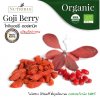 Organic  Goji Berry 