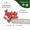 Organic  Goji Berry 
