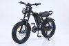 Ebike_sports_leisure- IM J1-front view