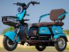 L&P Goodee Electric Tricycle | 1000W Graphene Battery E-Trike