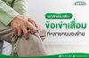 ข้อเข่าเสื่อม ข้อเข่าเสื่อม