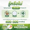 Saccranta