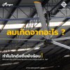 ลมเกิดจากอะไร? ลมเกิดจากอะไร?