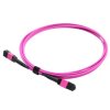 MPO12F-OM4-45M: MPO Trunk Cable 12 Cores MM OM4 Female Type B Length 45M.