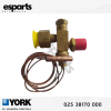 Thermal Expansion Valve