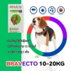 Bravecto Chewable Tablet for dogs 500mg