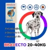 Bravecto Chewable Tablet for dogs 1000mg