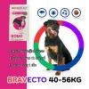 Bravecto Chewable Tablet for dogs 1400mg