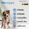 NexGard