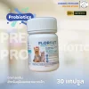 Florgut probiotic for cat