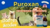 Puroxan Puroxan