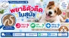 พยาธิตัวตืดในสุนัข