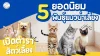 5 พันธุ์แมวน่าเลี้ยง ยอดนิยม