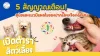 5 สัญญาณเตือน สุนัขและแมวมีแผลในช่องปากและเหงือกอักเสบ 5 สัญญาณเตือน สุนัขและแมวมีแผลในช่องปากและเหงือกอักเสบ