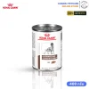 Royal Canin Gastrointestinal 400g สำหรับสุนัข