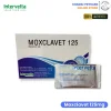 Moxclavet 125mg | ยาปฏิชีวนะ แก้หวัด ฆ่าเชื้อแบคทิเรียในเยื่อบุอ่อนสำหรับสุนัขและแมว ชนิดเม็ด (1 แผง บรรจุ 7 เม็ด)