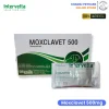Moxclavet 500mg | ยาปฏิชีวนะ แก้หวัด ฆ่าเชื้อแบคทิเรียในเยื่อบุอ่อนสำหรับสุนัข ชนิดเม็ด (1 แผง บรรจุ 7 เม็ด)