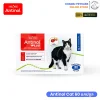 Antinol Plus Cat (แอนตินอล พลัส แมว) | อาหารเสริมบำรุงข้อต่อสูตรเข้มข้น ลดการอักเสบ บำรุงขนและผิวหนัง สำหรับแมวทุกสายพันธุ์ (60 แคปซูล)