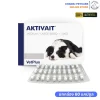 Aktivait สุนัขพันธุ์ใหญ่ราคาถูก