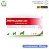 Amoxclamed 250mg