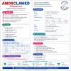 Amoxclamed 500mg | ยาฆ่าเชื้อปฏิชีวนะชนิดเม็ด รักษาการติดเชื้อแบคทีเรีย แผล และทางเดินหายใจ สำหรับสุนัขและแมว