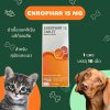 Enrophar 15mg | ยาปฏิชีวนะ ฆ่าเชื้อในทางเดินอาหารสำหรับสุนัขและแมว ชนิดเม็ด (1 แผง บรรจุ 10 เม็ด)