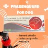 Prabenguard for Dog | ยาถ่ายพยาธิในทางเดินอาหารสำหรับสุนัข ชนิดเม็ด (แบ่งขาย 1 เม็ด)