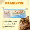 Prarintel Cat | ยาถ่ายพยาธิในทางเดินอาหารสำหรับแมว ชนิดเม็ด (1กล่อง บรรจุ 10 เม็ด)