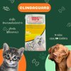 Clindaguard Solution | ยาฆ่าเชื้อรักษาแผลในช่องปาก เหงือกอักเสบ สำหรับสุนัขและแมว (20ml)