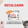 Royal Canin Recovery | อาหารฟื้นฟูสำหรับสุนัขและแมว (195 กรัม)