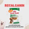 Royal Canin Adult Mini | อาหารสุนัขพันธุ์เล็ก อายุ 10 เดือนขึ้นไป (85 กรัม)