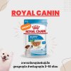 Royal Canin Mini Puppy Gravy | อาหารเปียกลูกสุนัขพันธุ์เล็ก อายุ 2-10 เดือน (85 กรัม)