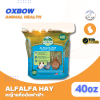 Oxbow Alfalfa Hay | หญ้าแห้งอัลฟาฟ่าพรีเมี่ยม (40oz)