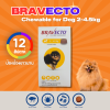 Bravecto Chewable Tablet 2-4.5kg | ยากินกำจัดและป้องกันเห็บหมัด ไร ขี้เรื้อน สำหรับสุนัข