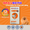 Bravecto Chewable Tablet 4.5-10kg | ยากินกำจัดและป้องกันเห็บหมัด ไร ขี้เรื้อน สำหรับสุนัข