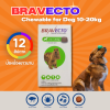 Bravecto Chewable Tablet 10-20kg | ยากินกำจัดและป้องกันเห็บหมัด ไร ขี้เรื้อน สำหรับสุนัข