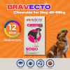 Bravecto Chewable Tablet 40-56kg | ยากินกำจัดและป้องกันเห็บหมัด ไร ขี้เรื้อน สำหรับสุนัข