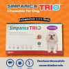 Simparica Trio 2.5-5kg | ยากินกำจัดเห็บหมัด และพยาธิ สำหรับสุนัข