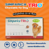 Simparica Trio 20-40kg | ยากินกำจัดเห็บหมัด และพยาธิ สำหรับสุนัข