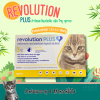 Revolution Plus 1.25-2.5kg | ยากำจัดและป้องกันเห็บหมัด ไรหู ป้องกันพยาธิหัวใจ สำหรับแมว