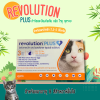 Revolution Plus 2.5-5kg | ยากำจัดและป้องกันเห็บหมัด ไรหู ป้องกันพยาธิหัวใจ สำหรับแมว